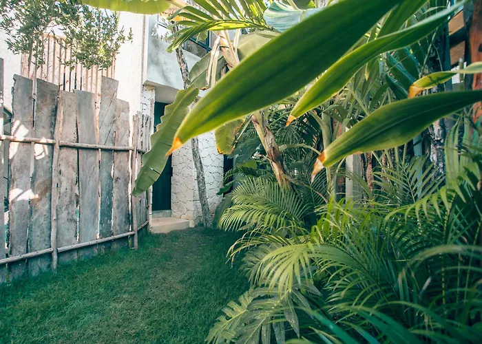 Round Luxury Jungle Villa Priv Pool-Concierge 4A Tulum